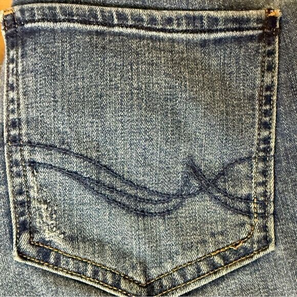 Rebel Wilson Rebel Angels The Pin Up Skinny Jean, 20W Medium Blue Whisker Wash - Picture 11 of 13